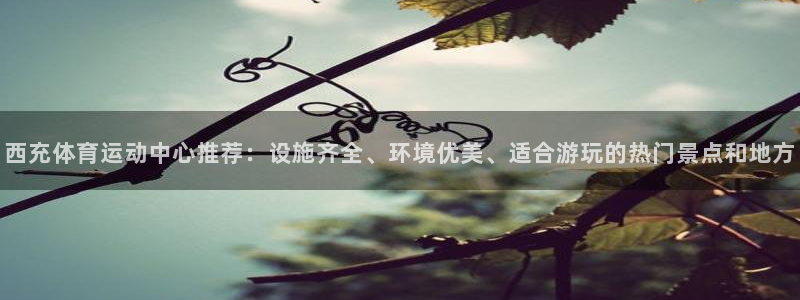 bbin视讯游戏官网