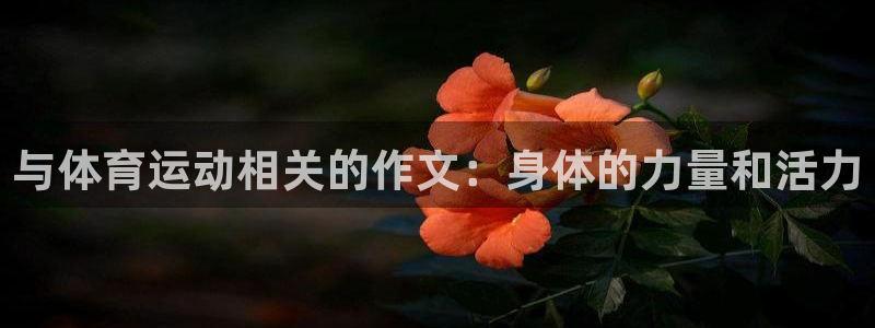 bbin视讯下
