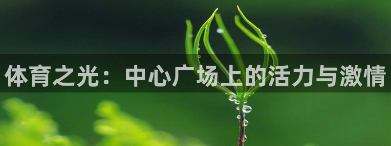 bbin视讯下