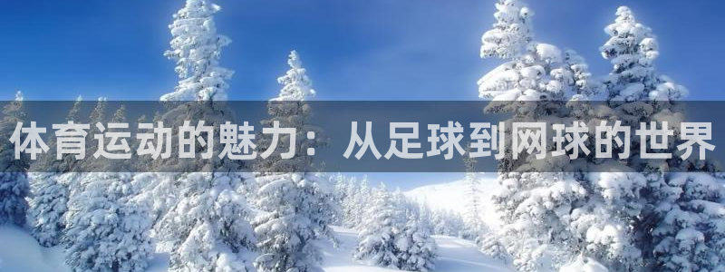 bbin视讯下