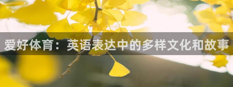 bbin视讯下