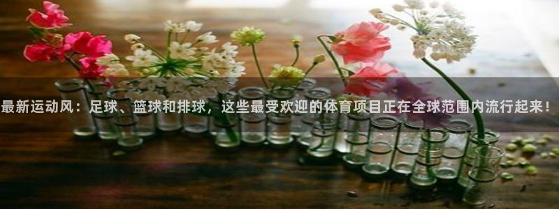 bbin视讯游戏平台