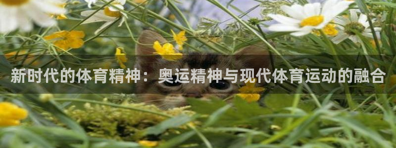 bbin视讯游戏官网