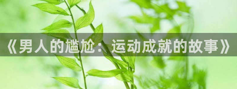bbin视讯游戏平台